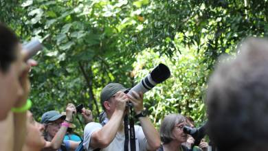 Costa Rica’s Coastal Secrets