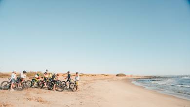 Cycle Namibia