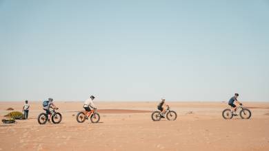 Cycle Namibia