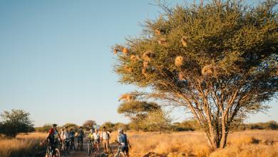 Cycle Namibia