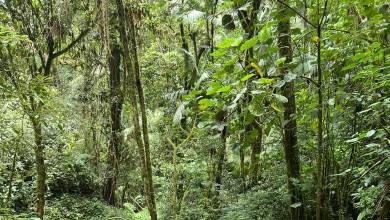 Costa Rica’s Coastal Secrets