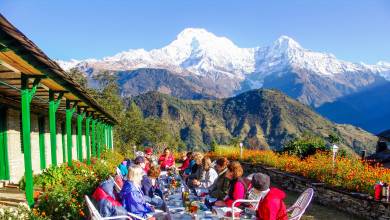 Annapurna to Chitwan: Walks & Wildlife