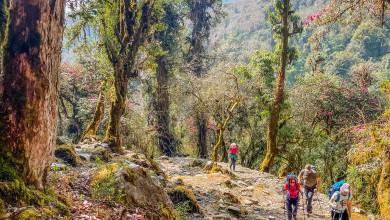 Annapurna Sanctuary Trek