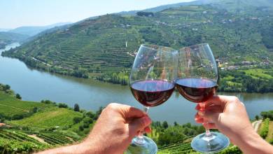 Cycling in the Douro Valley