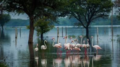 Cycling Through Rajasthan