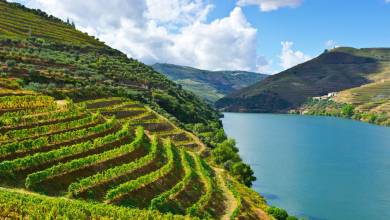 Cycling in the Douro Valley