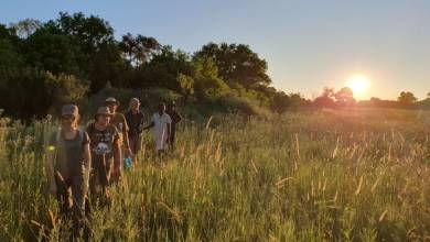 Botswana & Namibia: Delta & Dunes