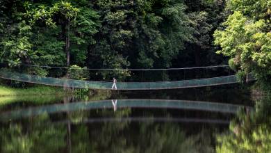 Borneo & the Malaysian Peninsula