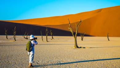 Botswana & Namibia: Delta & Dunes