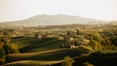 Walk The Prosecco Hills & Hidden Venice
