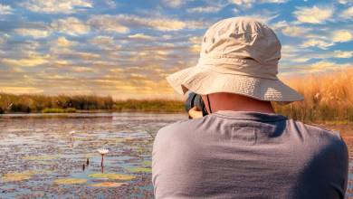 Botswana & Namibia: Delta & Dunes