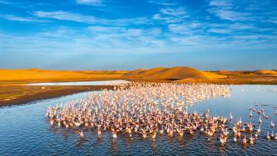 Botswana & Namibia: Delta & Dunes