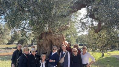 Discover Puglia: Italy’s Ancient Heel