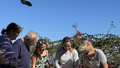 Discover Puglia: Italy’s Ancient Heel