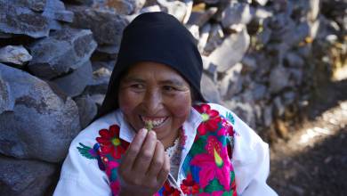 Inca Trail & the Amazon Rainforest