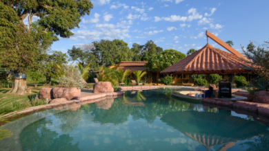 Pantanal – Land of the Jaguar