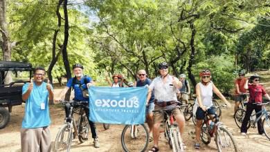 Sri Lankan Highlights