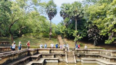 Sri Lankan Highlights