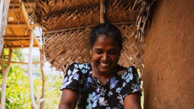 Sri Lankan Highlights