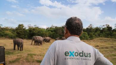 Sri Lankan Highlights