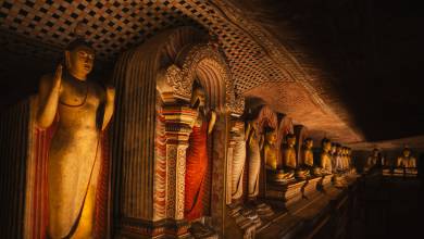 Sri Lankan Highlights