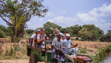 Sri Lankan Highlights