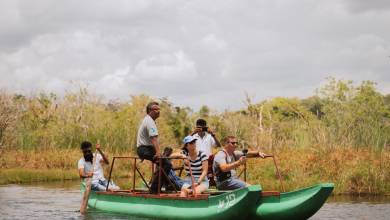 Sri Lankan Highlights