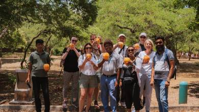 Sri Lankan Highlights