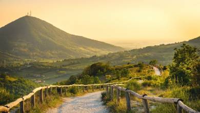 Walking in the Venetian Hills