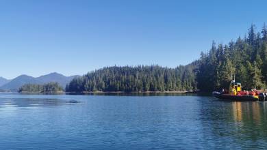 Whales & Bears of British Columbia