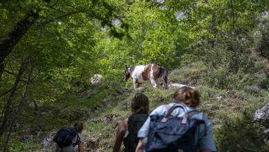 Italian Apennines: Walks & Wildlife