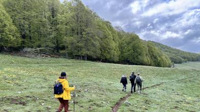 Italian Apennines: Walks & Wildlife