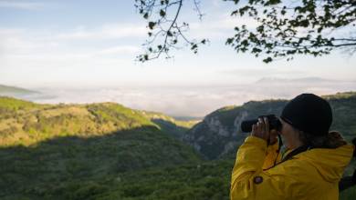 Italian Apennines: Walks & Wildlife