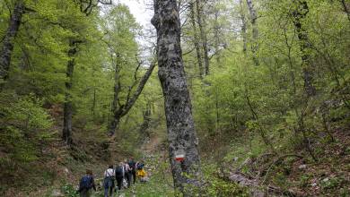 Italian Apennines: Walks & Wildlife