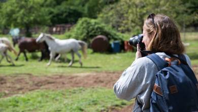 Italian Apennines: Walks & Wildlife