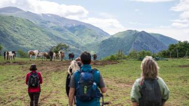 Italian Apennines: Walks & Wildlife