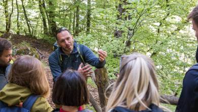 Italian Apennines: Walks & Wildlife