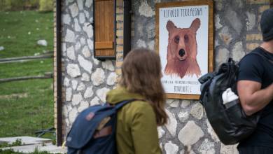 Italian Apennines: Walks & Wildlife