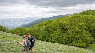 Italian Apennines: Walks & Wildlife