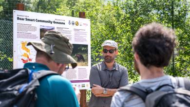 Italian Apennines: Walks & Wildlife