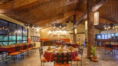 Chitwan Safari Add-on Tour