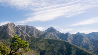 White Villages of Andalucia Walk