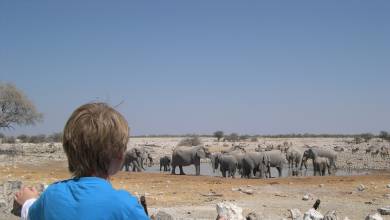 Namibian Family Adventurer