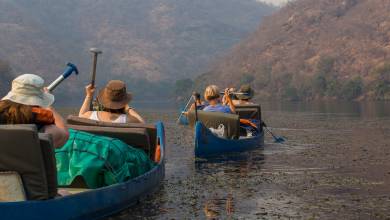 Zambezi Canoe Safari