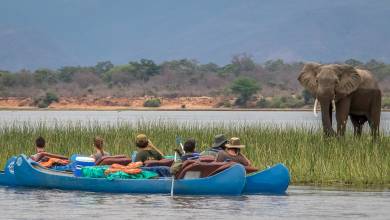 Zambezi Canoe Safari