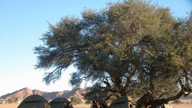 Namibian Family Adventurer