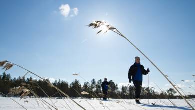 Finnish Wilderness Week