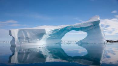 Antarctic Express: Fly the Drake