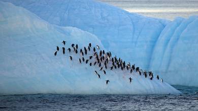 Crossing the Circle: Southern Expedition