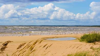 Discover the Baltics